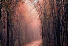 开云体育官网：[CBA]常规赛3月5日：浙江方兴渡VS山西汾酒 原帅集锦.