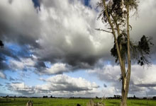 开云体育官网：世预赛中澳战在即 国足坐镇“魔鬼主场”力争出线生机3-25 11：55.