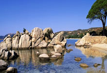 开云体育官网：2032年布里斯班奥运会将建造全新主体育.